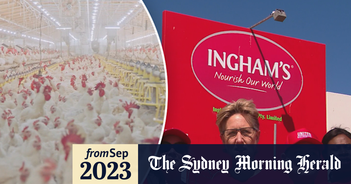 Video Inghams factories in two states closed amid strike